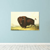 A Bison, c.1832 Canvas Afdruk (Insitu (Houten vloer))
