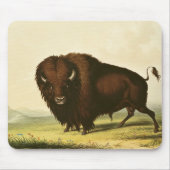 A Bison, c.1832 Muismat (Voorkant)