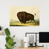 A Bison, c.1832 Poster (Thuiskantoor)