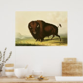 A Bison, c.1832 Poster (Keuken)
