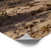 A Bit Dry Poster (Hoek)