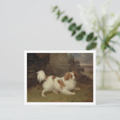 A Blenheim Spaniel, c.1820-30 (olie op doek) Briefkaart (Staand voorkant)