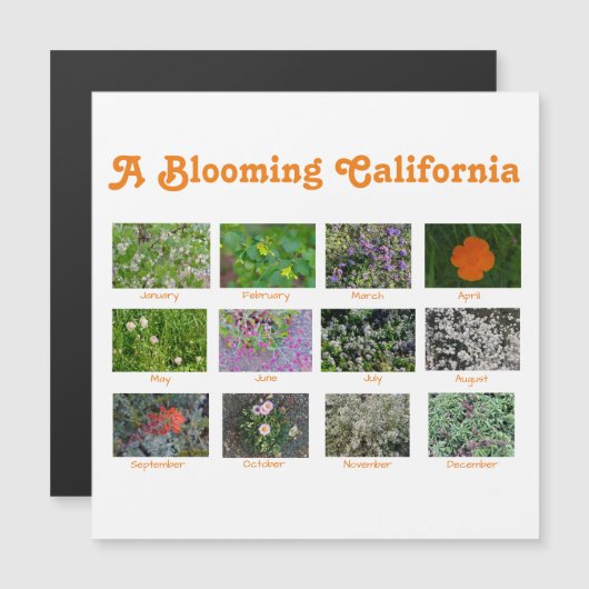 A Blooming California (Voorkant / Achterkant)