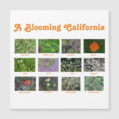 A Blooming California (Voorkant)