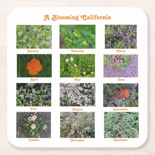 A Blooming California Kartonnen Onderzetters (Voorkant)