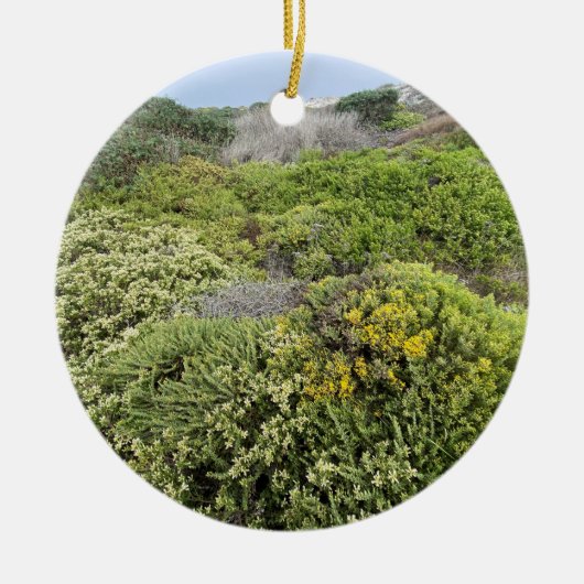 A Blooming California Keramisch Ornament (Voorkant)