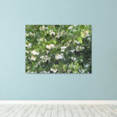 A Blooming California: Manzanita Dr. Hurd Canvas Afdruk (Insitu (Houten vloer))