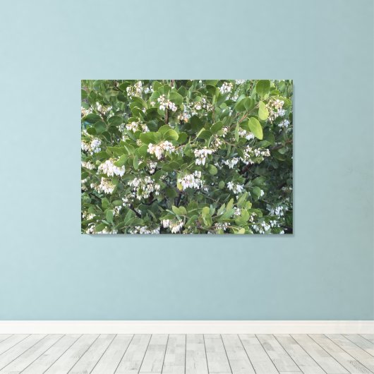 A Blooming California: Manzanita Dr. Hurd Canvas Afdruk (Insitu (Houten vloer))