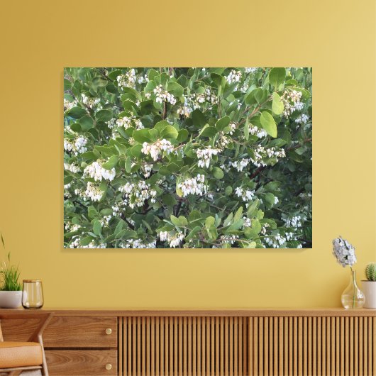 A Blooming California: Manzanita Dr. Hurd Canvas Afdruk (Insitu (Woonkamer))