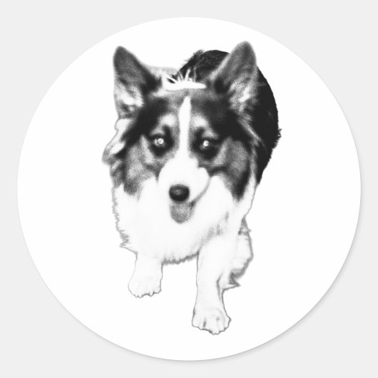 A blurred corgi captured in stride becomes a compa ronde sticker (Voorkant)