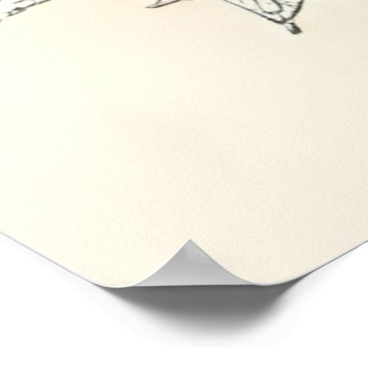 A Bond Beyond Flaws II Poster (Hoek)