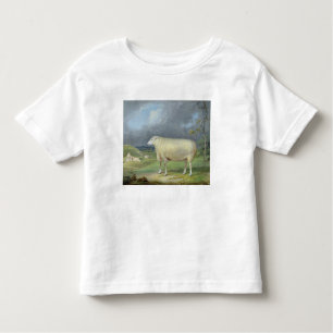 A Border Leicester Ewe (oil on canvas) Kinder Shirts