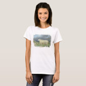A Border Leicester Ewe (oil on canvas) T-shirt (Voorkant volledig)