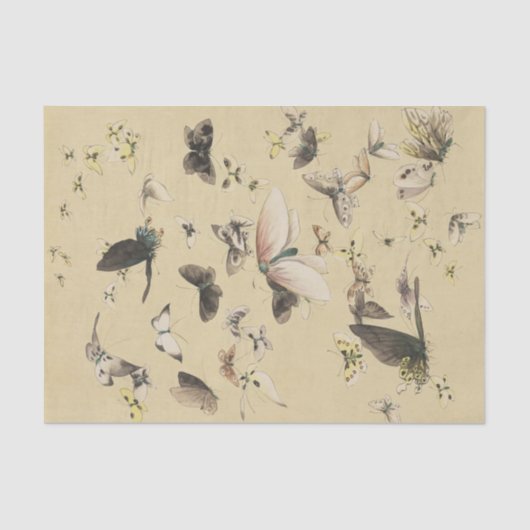 A Butterfly Convention Tissue Paper Tissuepapier (Voorkant)