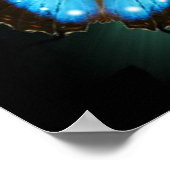 A Butterflys Journey Poster (Hoek)