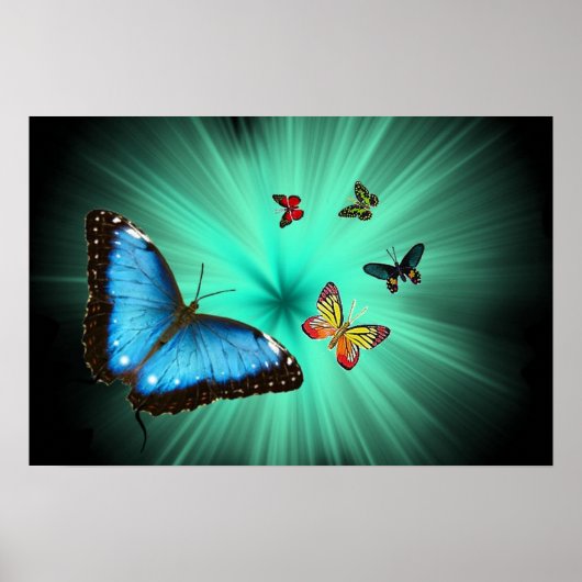 A Butterflys Journey Poster (Voorkant)