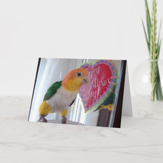 A Caique Valentijn Feestdagen Kaart (Voorkant)