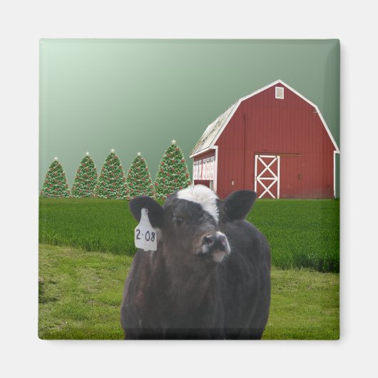 A Calf's eerste kerstmagneet Magneet (Voorkant)