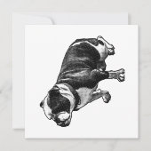 A Calm Welcome Kaart (Voorkant)