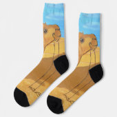 A camel socks  sokken (Links)