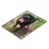 A Cane Corso X Notitieboek (Linkerzijde)