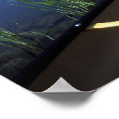 A canoe rests on the shore of Little Long Pond Poster (Hoek)