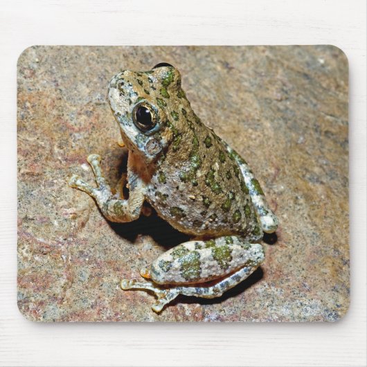 A Canyon Treefrog Muismat (Voorkant)