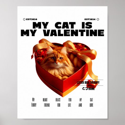 A Cat In The Box Therapy Happy Valentine Day Funny Poster (Voorkant)