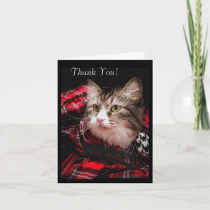 A Cat Lover's Thank You Note Kaart