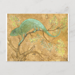 A Chameleon door Ustad Mansur Briefkaart