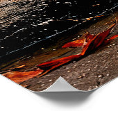 "A Chance Encounter" - Kleurrijk Wildlife Portret Poster (Hoek)