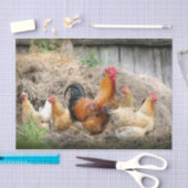 A Chaotic Chicken Portrait Part 3 Tissuepapier (Craft)