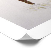 A Cheyenne Brave, 1901 (kleurenlitho) Poster (Hoek)