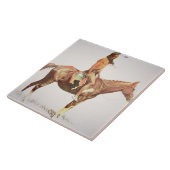 A Cheyenne Brave, 1901 (kleurenlitho) Tegeltje (Zijkant)