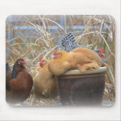 A Chicken Mouse Pad Muismat (Voorkant)