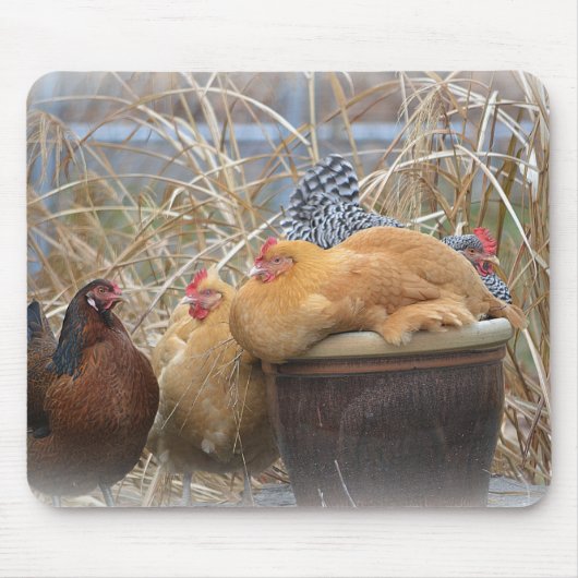 A Chicken Mouse Pad Muismat (Voorkant)