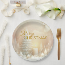 A Christmas Angel Fantasy Snowy Landscape Papieren Bordje