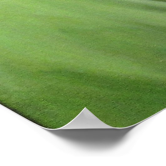 A Classy  Lady Poster (Hoek)