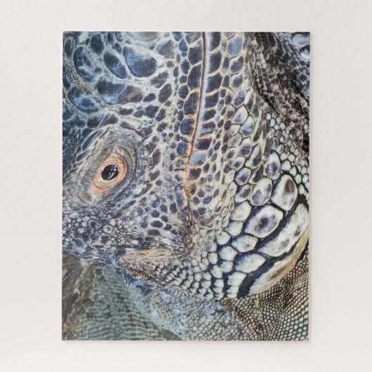 A close up head of a green iguana. Challenging Legpuzzel (Verticaal)