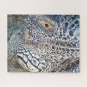 A close up head of a green iguana. Challenging Legpuzzel (Horizontaal)