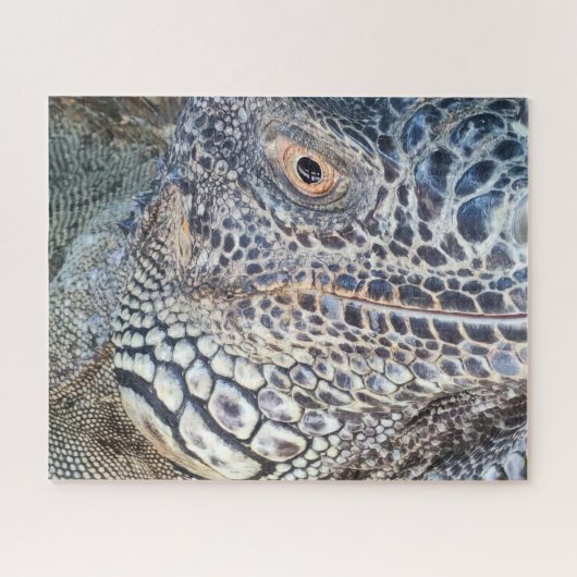A close up head of a green iguana. Challenging Legpuzzel (Horizontaal)
