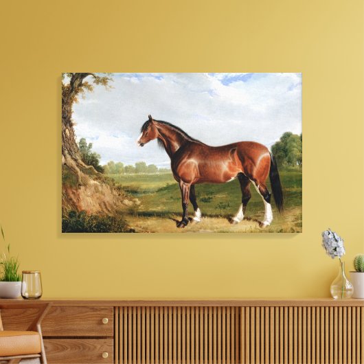 A Clydesdale Stallion Canvas Afdruk (Insitu (Woonkamer))