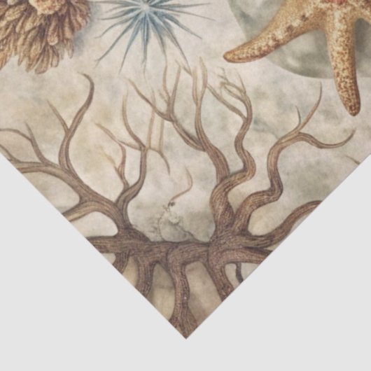 A Coastal Series Design 46 Tissuepapier (Detail)