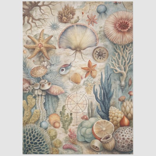 A Coastal Series Design 46 Tissuepapier (Voorkant)