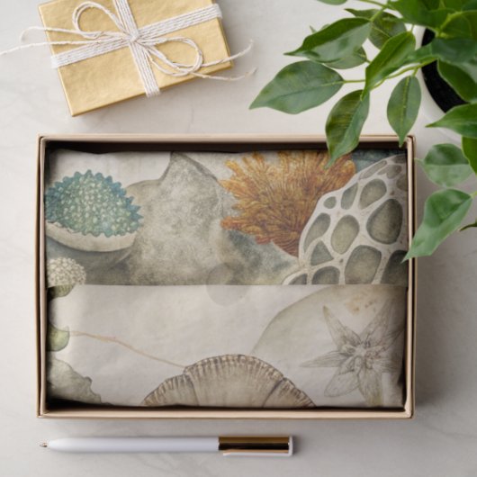 A Coastal Series Design 51 Tissuepapier (Geschenk)