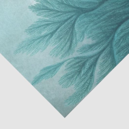 A Coastal Series Design 55 Tissuepapier (Detail)