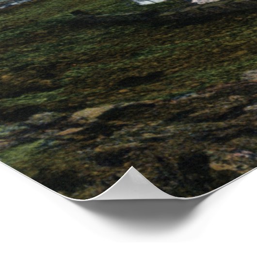 A Columbia Riverboat Scene Poster (Hoek)