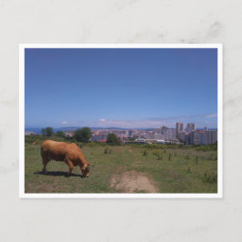 A Coruna, Galicië (Spanje) Briefkaart