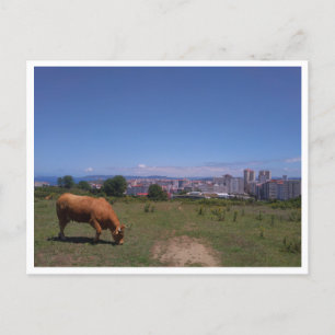 A Coruna, Galicië (Spanje) Briefkaart