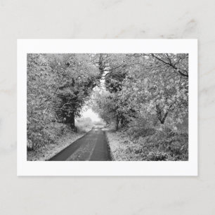 A Country Road in Winter: Cheshire, Engeland Briefkaart